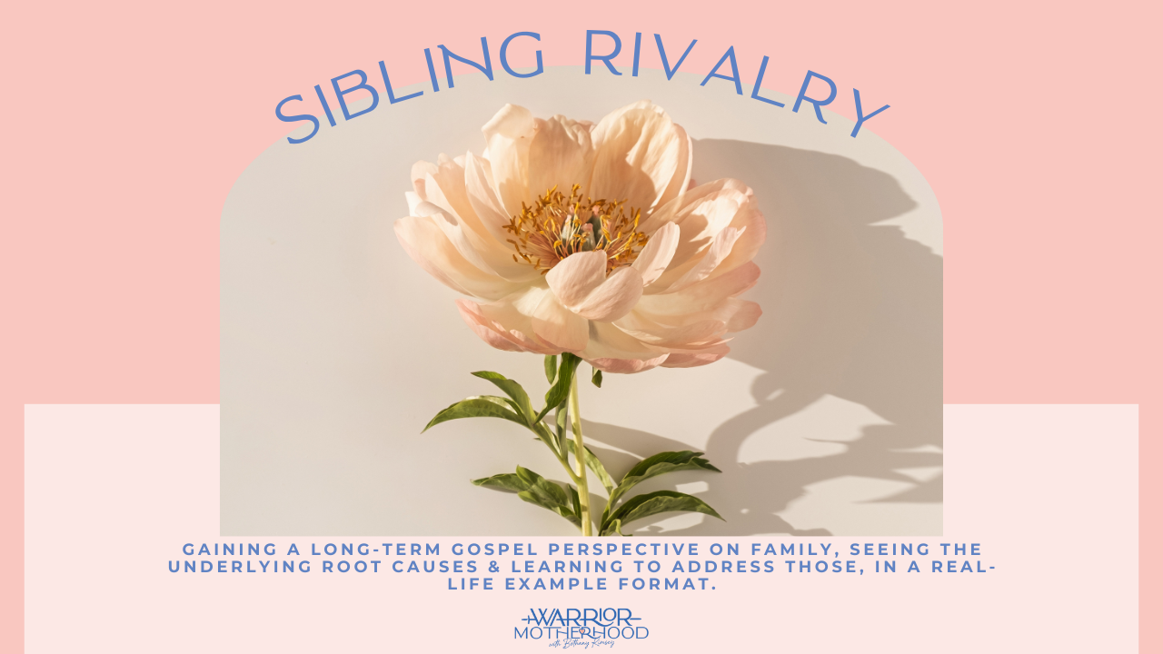 A Vision For Sibling Rivalry & How To Walk It Out