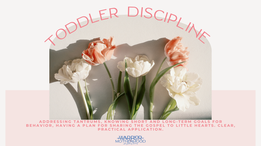 Toddler Discipline