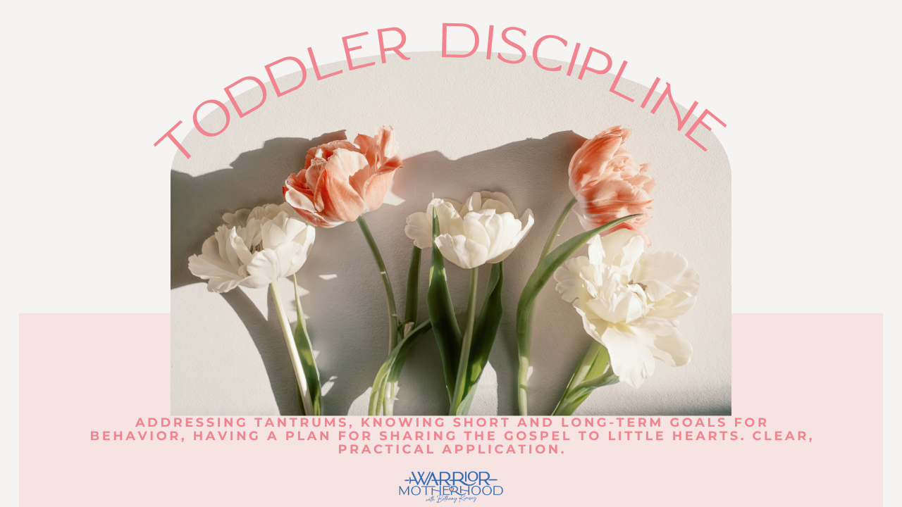 Toddler Discipline