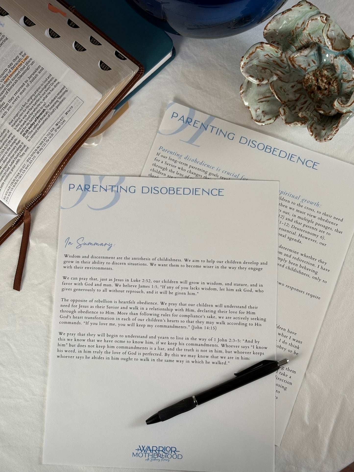 Parenting Disobedience