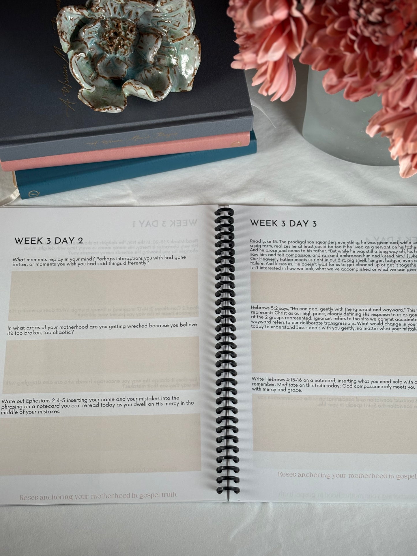 Reset: Anchoring Your Motherhood In Gospel Truths